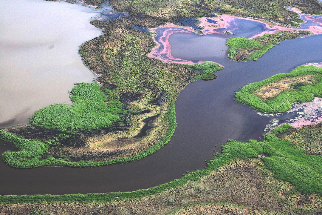 Murray Darling Scenic Flights - Gayini