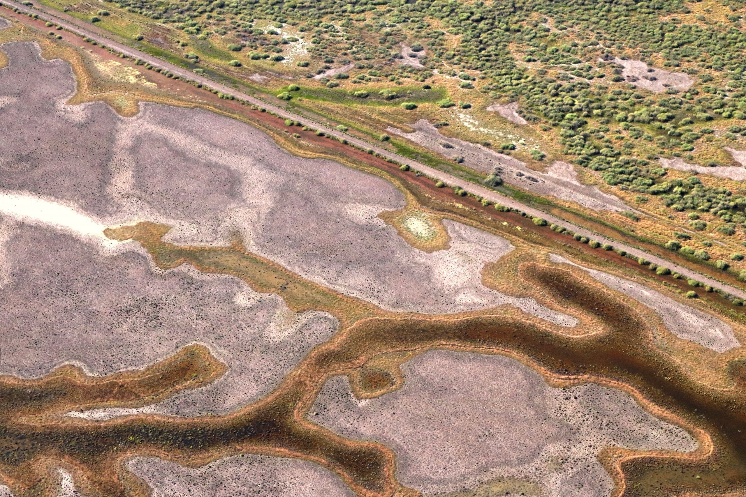 Murray Darling Scenic Flights - Gayini