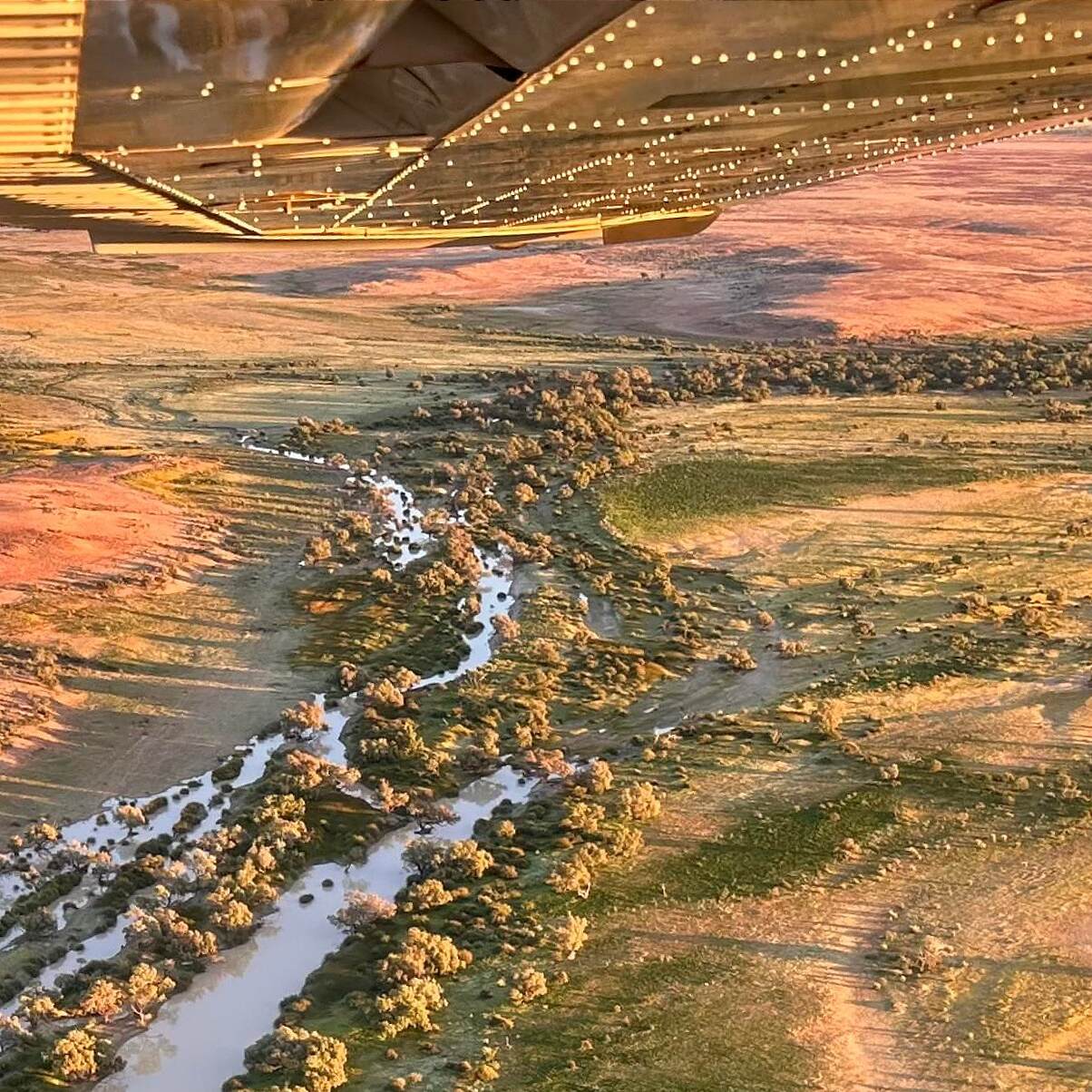 MDSF birdsville (Edit) (Edit)