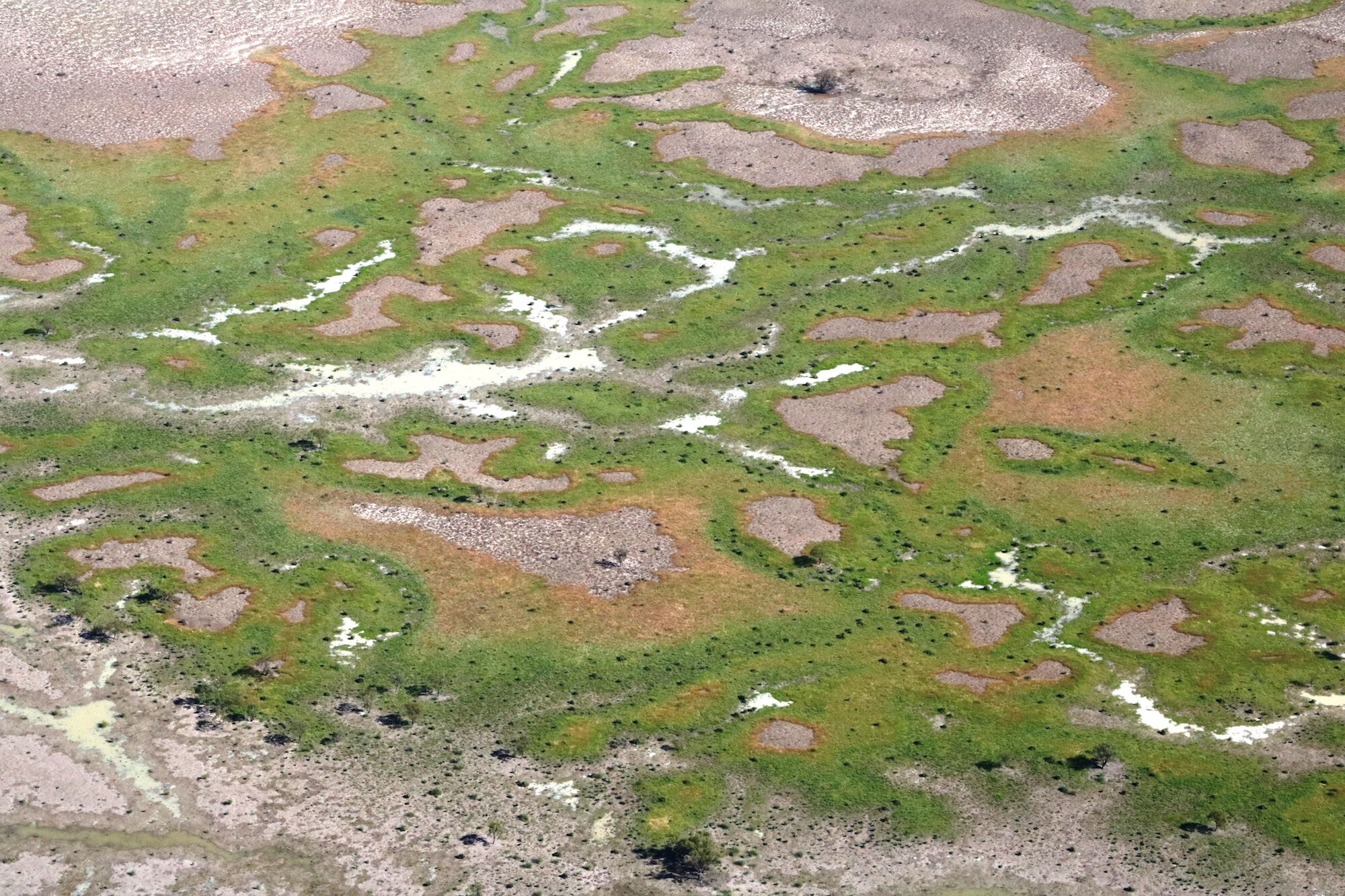 Murray Darling Scenic Flights - Gayini