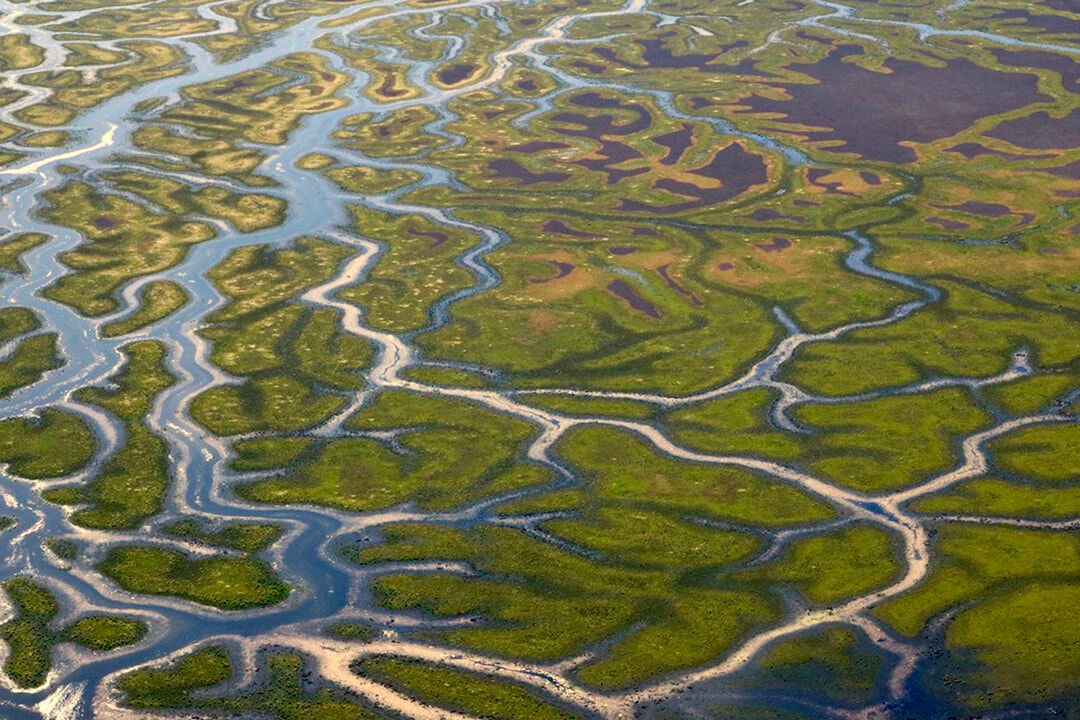 Murray Darling Scenic Flights - Gayini