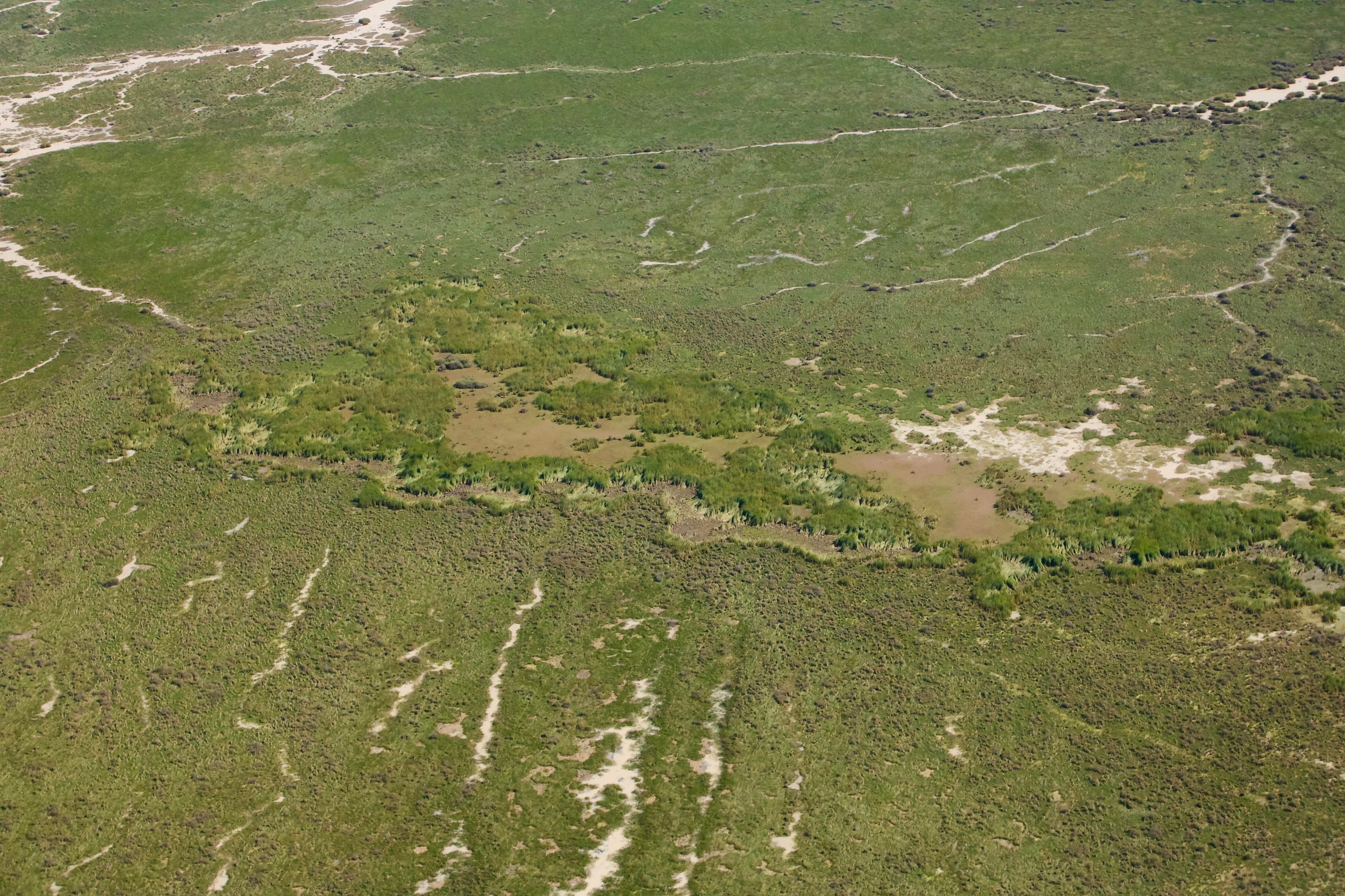 Goyder Lagoon