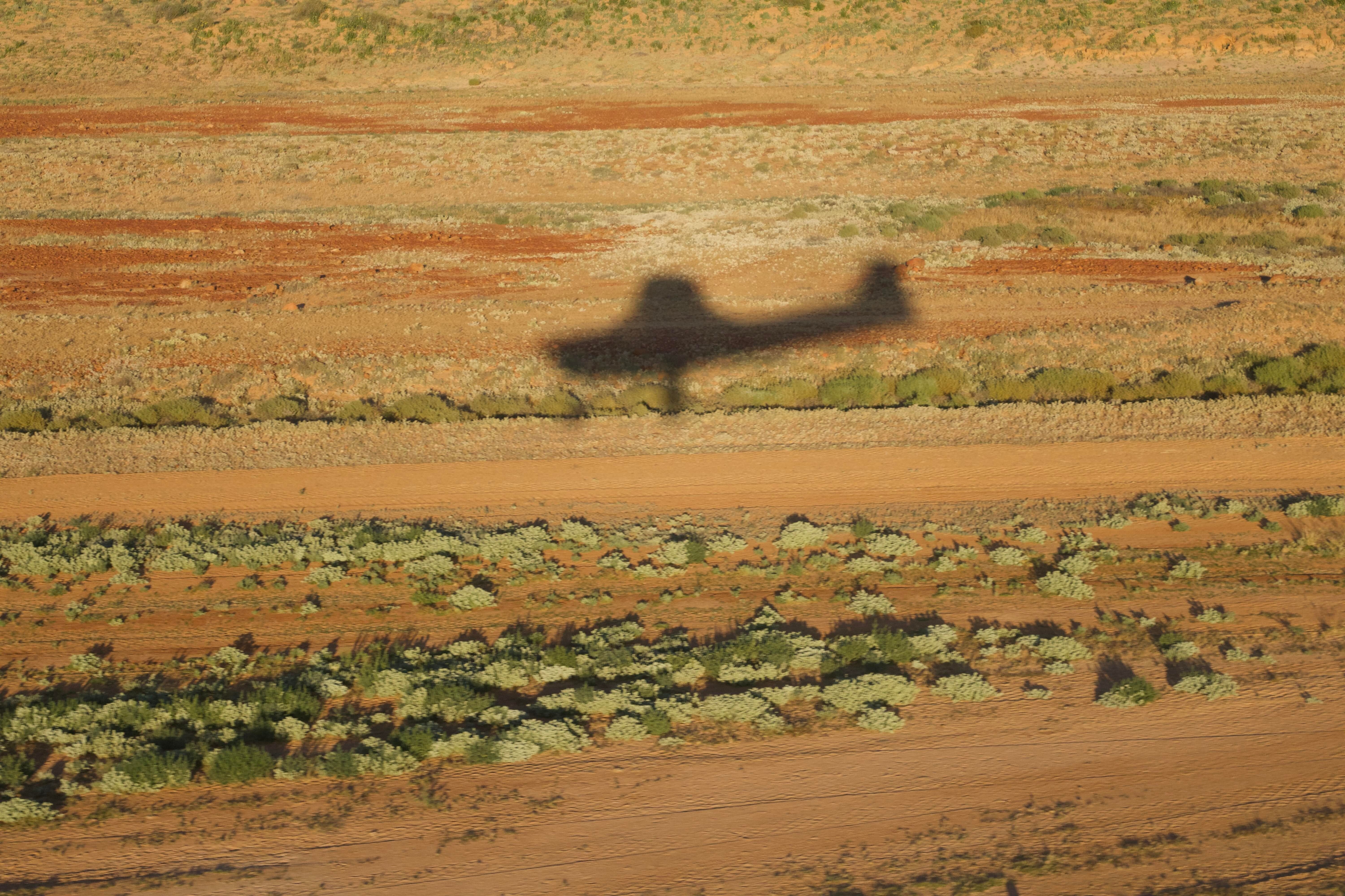 Birdsville Morning