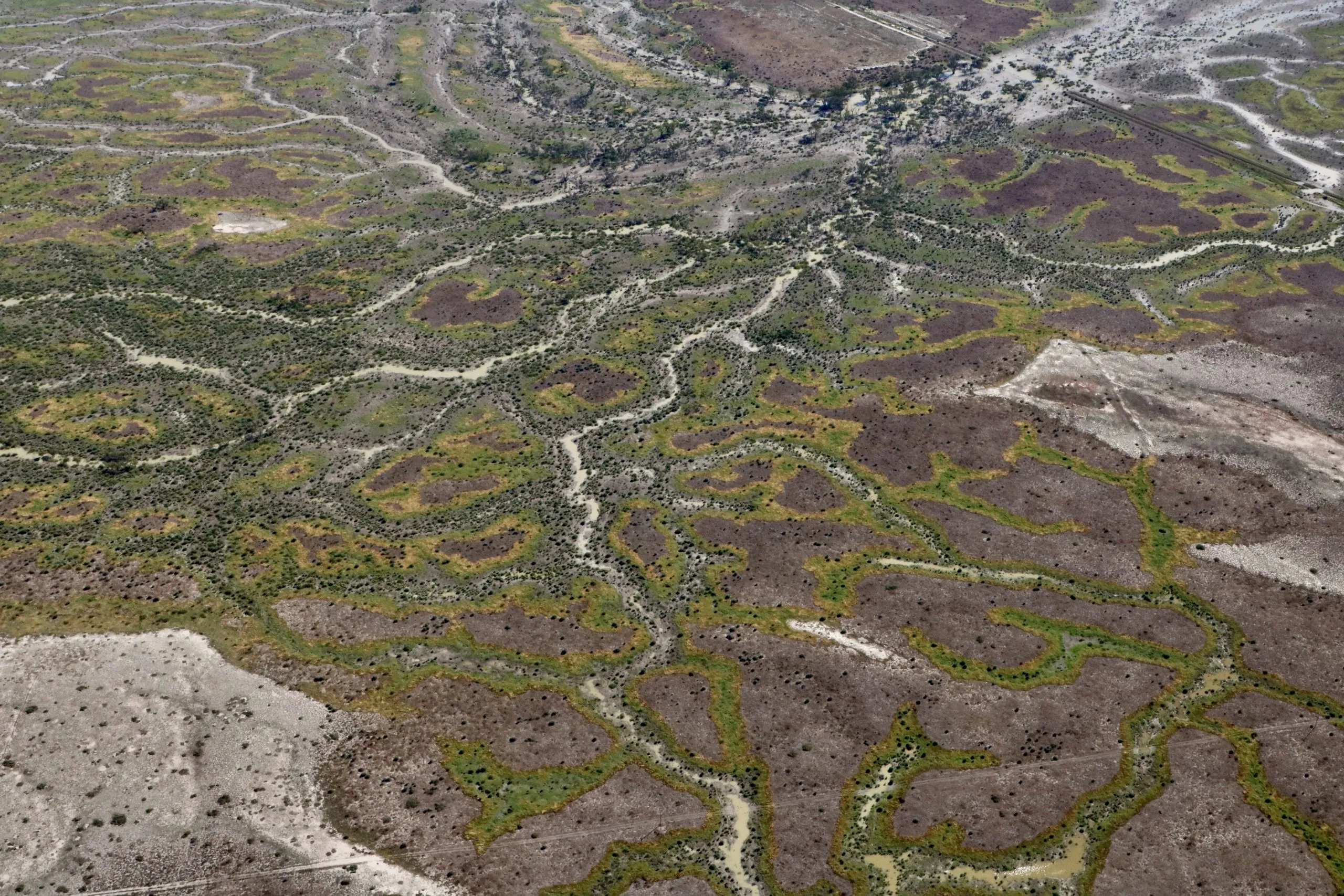 MDSF-Gayini-wetland-floodrunners-scaled