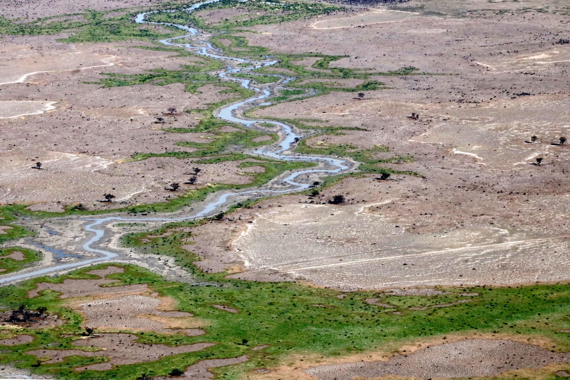 Murray Darling Scenic Flights - Gayini floodrunner