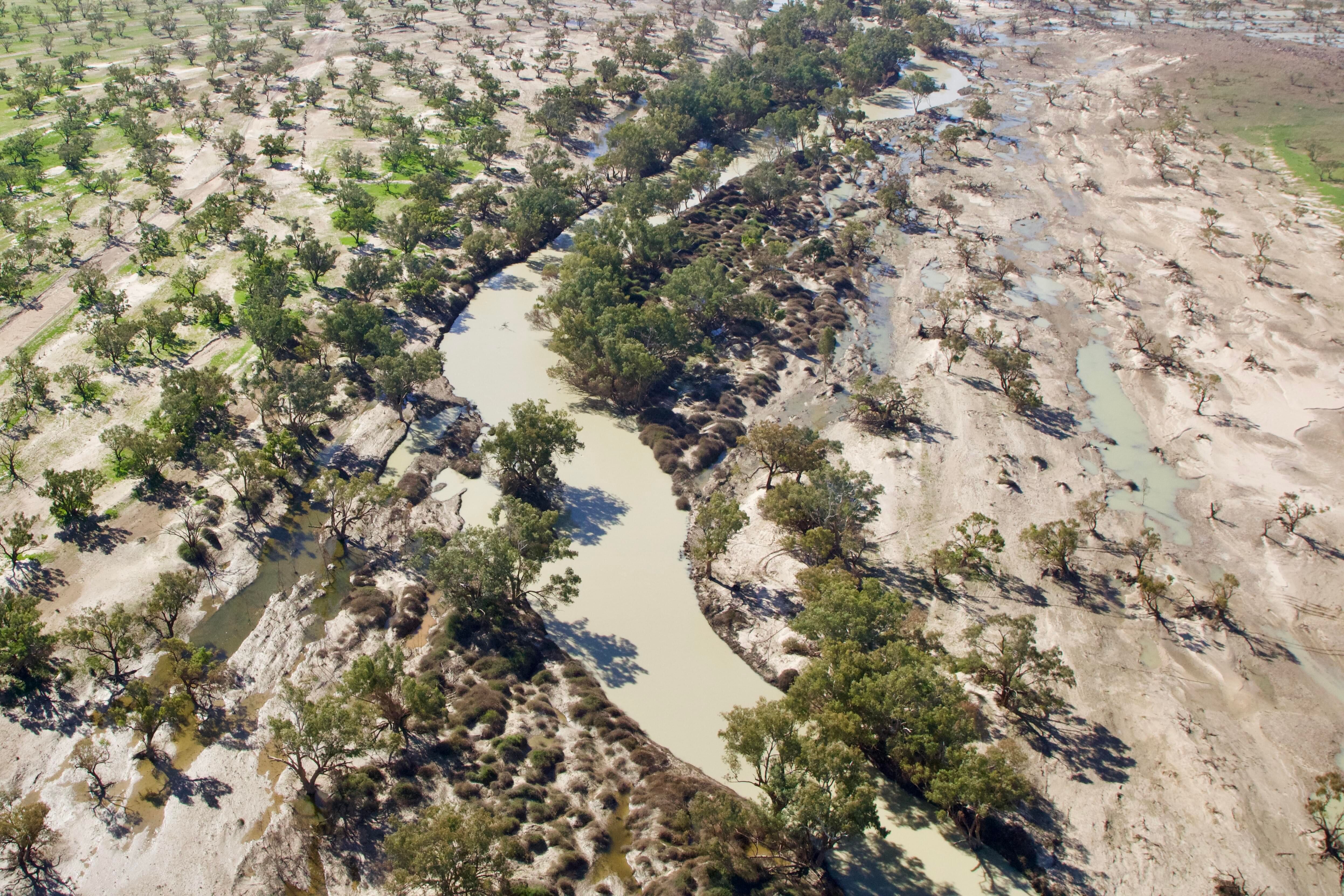Cooper Creek floodplain, Innaminka 