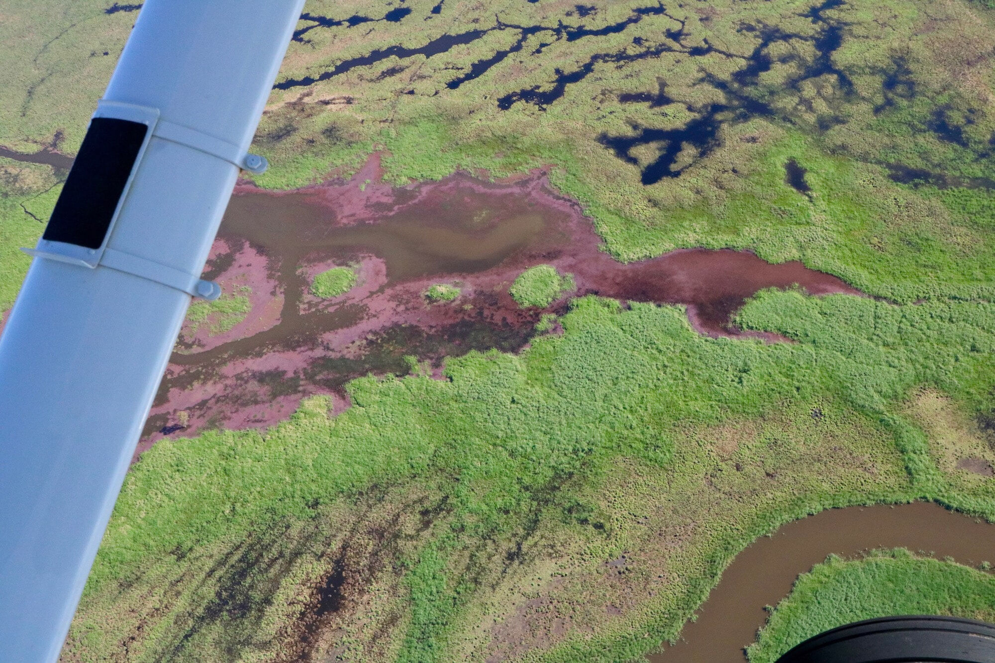 Murray Darling Scenic Flights - Great Cumbung